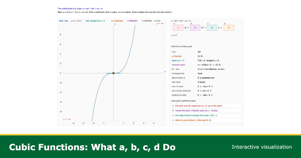Cubic Function Visualization | What a, b, c, d Do to the Graph